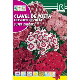 Semilla clavel del poeta super duplex