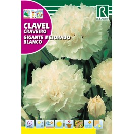 Semilla clavel gigante mejorado blanco