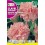 Semilla clavel gigante mejorado rosa suave