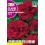 Semilla clavel gigante mejorado rojo