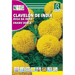 Semilla clavelón de india enano doble