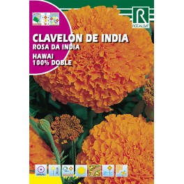 Semilla clavelón de india hawai 100% doble