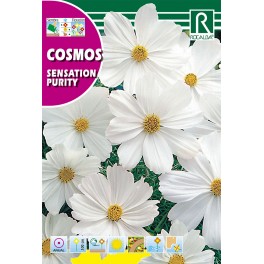 Semilla cosmos sensation purity