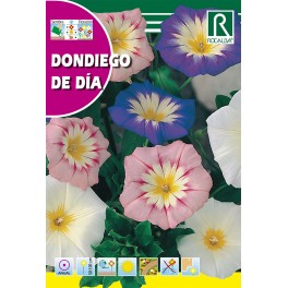 Semilla dondiego de día