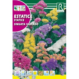 Semilla estatice sinuata variado