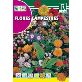 Semilla flores campestres