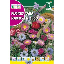 Semilla flores para ramos secos
