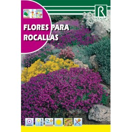Semilla flores para rocallas