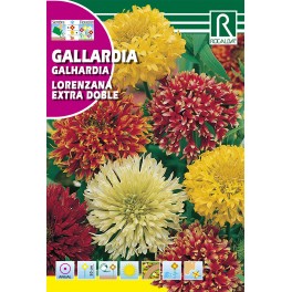 Semilla gallardia lorenzana extra doble