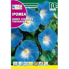 Semilla ipomea rubro coerulea trepadora