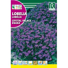 Semilla lobelia crystal palace enana