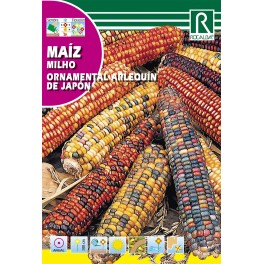 Semilla maiz ornamental arlequin de Japón