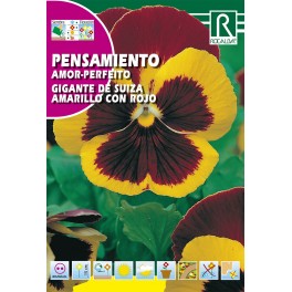 Semilla pensamiento gigante de Suiza amarillo con rojo