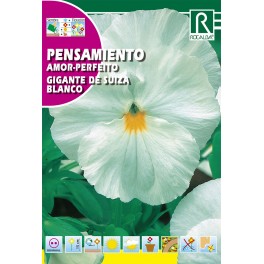Semilla pensamiento gigante de Suiza blanco