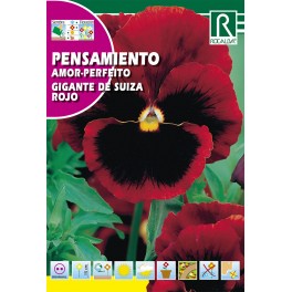 Semilla pensamiento gigante de Suiza rojo