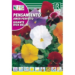 Semilla pensamiento gigante riva bella