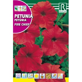 Semilla petunia fire chief