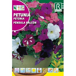 Semilla petunia péndula balcón