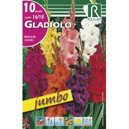 Bulbo de Gladiolo Jumbo mezcla de colores (cajetín 150 unidades)