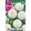 Bulbo de Dalia pompon snowflake (cajetín 25 unidades)