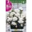 Bulbo de Begonia péndula doble gigante blanco (cajetín 50 unidades)