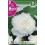 Bulbo de Begonia fimbriata blanco (cajetín 50 unidades)