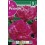 Bulbo de poenia rosa (cajetín 20 unidades)