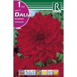 Bulbo de Dalia decorativa duetschland (bolsa litografiada 1 unidad)