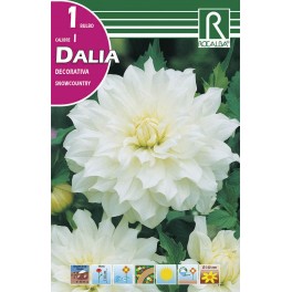 Bulbo de Dalia decorativa snowcountry (bolsa litografiada 1 unidad)