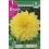 Bulbo de Dalia decorativa kelvin floodlight  (bolsa litografiada 1 unidad)