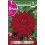 Bulbo de Dalia cactus witteman's best (bolsa litografiada 1 unidad)