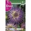 Bulbo de Dalia cactus veritable (bolsa litografiada 1 unidad)
