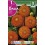 Bulbo de Dalia pompon bantling (bolsa litografiada 1 unidad)
