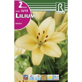 Bulbo de Lilium menorca (bolsa litografiada 2 unidades)