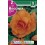 Bulbo de Begonia doble flor de camelia cobre (bolsa litografiada 2 unidades)