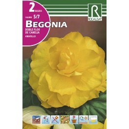 Bulbo de Begonia doble flor de camelia amarillo  (bolsa litografiada 2 unidades)