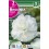 Bulbo de Begonia doble flor de camelia blanco (bolsa litografiada 2 unidades)