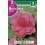Bulbo de Begonia doble flor de camelia rosa (bolsa litografiada 2 unidades)