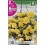 Bulbo de Begonia péndula doble gigante amarillo (bolsa litografiada 2 unidades)