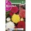 Bulbo de Begonia fimbriata mezcla de colores (bolsa litografiada 2 unidades)