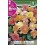 Bulbo de Begonia pastel mezcla de colores (bolsa litografiada 2 unidades)