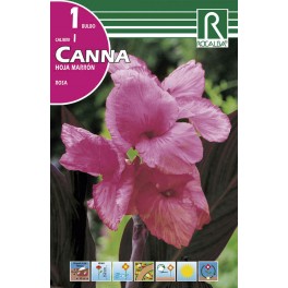 Bulbo de  canna hoja marrón rosa (bolsa litografiada 1 unidad)