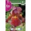 Bulbo de iris germanica rojo (bolsa litografiada 1 unidad)