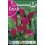 Bulbo de calla lirio de agua bolero (bolsa litografiada 1 unidad)