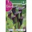 Bulbo de calla lirio de agua black star (bolsa litografiada 1 unidad)