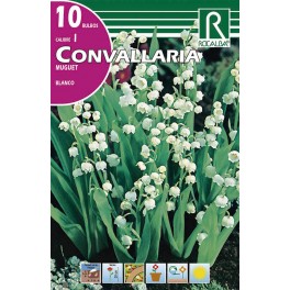 Bulbo de  convallaria muguet blanco (bolsa litografiada 10 unidades)