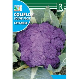 Semilla coliflor romanesco natalino