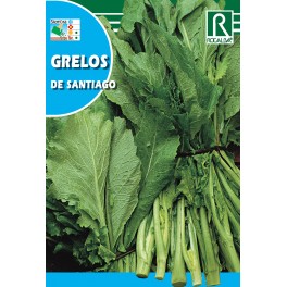 Semilla grelos de Santiago