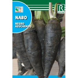 Semilla nabo negro azucarado