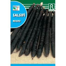 Semilla salsifi negro